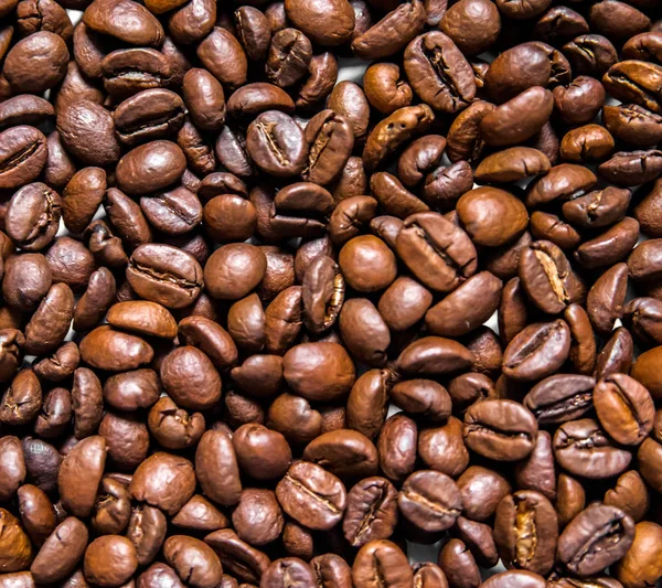Mezcla de diferentes tipos de granos de café. Fondo de café. — Foto de Stock