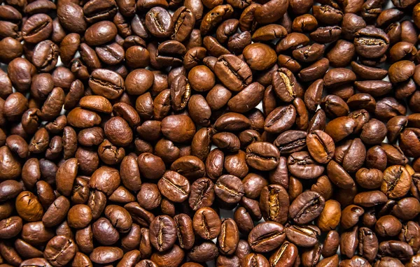 Campuran dari berbagai jenis biji kopi. Latar Belakang Kopi. — Stok Foto