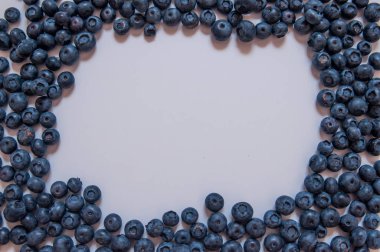 Beyaz arka plan üzerinde izole yaban mersini. Yaban mersini sınır desig