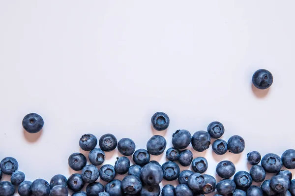 Fresh sweet blueberry fruit and mint leaf with copy space. Desse — Stock Photo, Image