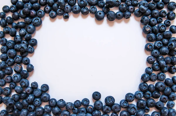 Fresh sweet blueberry fruit and mint leaf with copy space. Desse — Stock Photo, Image