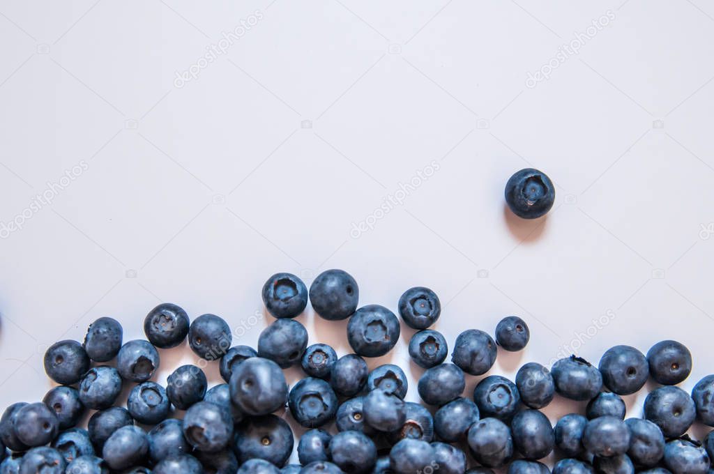 Blueberries isolated on white background. Blueberry border desig
