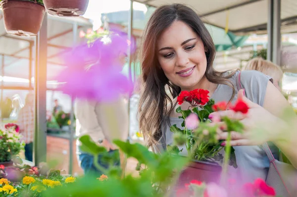 Młoda kobieta gospodarstwa geranium — Zdjęcie stockowe