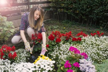 Happy young woman spudding soil with ripper tool. Female gardener taking care of colorful flowers  clipart