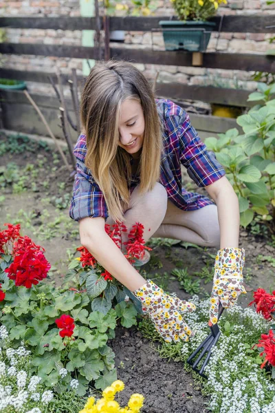 Glückliche Junge Frau Die Erde Mit Reißwerkzeug Ausstreut Gärtnerin Kümmert — Stockfoto