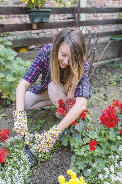 Boldog Fiatal Spudding Talaj Ripper Eszközzel Női Kertész Színes Virágok — Stock Fotó