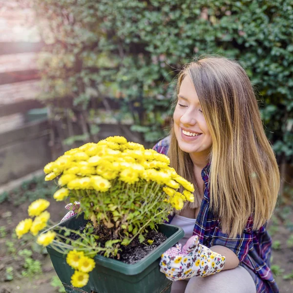 Feliz Mulher Cheirando Pote Lindos Crisântemos Amarelos Jardineiro Cuidando Flores — Fotografia de Stock