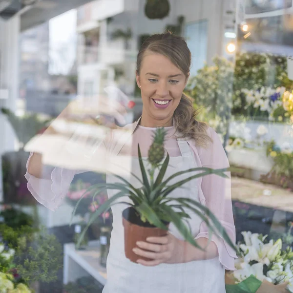 从橱窗店到女花店照顾开花植物 — 图库照片