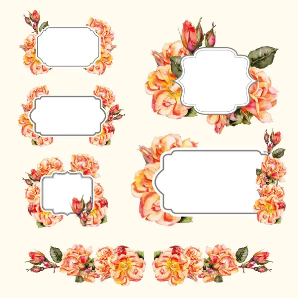 çerçeve, çiçekler, güller, peonies, kutlama, dekor, Dekorasyon, işaret, davet, şablon, kutlama, ihale, düğün, çiçek tomurcukları, mektup, suluboya