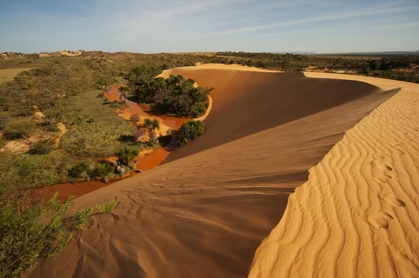 Kırmızı dunes adlı Jalapao, Brezilya'da en vahşi bölgelerinden birinde