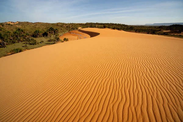 Kırmızı dunes adlı Jalapao, Brezilya'da en vahşi bölgelerinden birinde