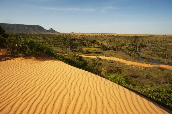 Kırmızı dunes adlı Jalapao, Brezilya'da en vahşi bölgelerinden birinde
