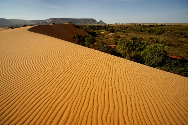 Red dunes at Jalapao, one of wildest areas in Brazil — Stock Photo, Image