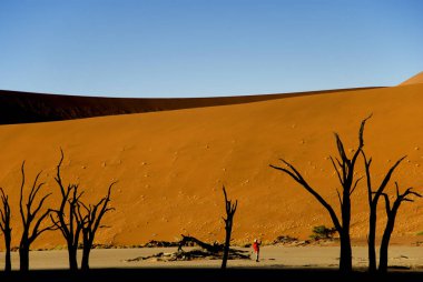 Kırmızı dune fotoğraflarını turizm