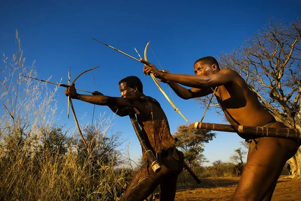 Bosjesmannen simuleren een hunt op klimmen — Stockfoto