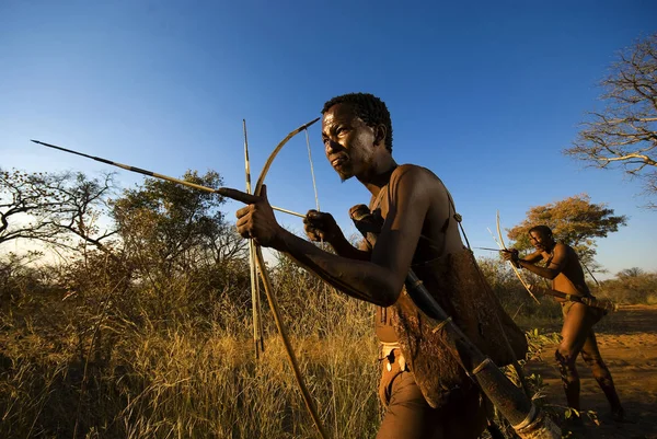 Bosjesmannen simuleren een hunt op klimmen — Stockfoto