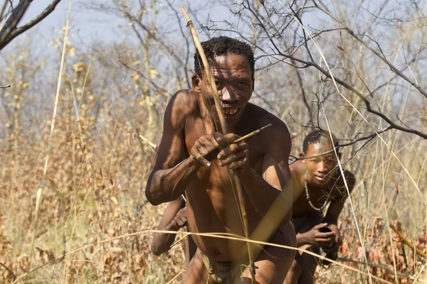 Bushmen hunting with bow — Stock Photo, Image