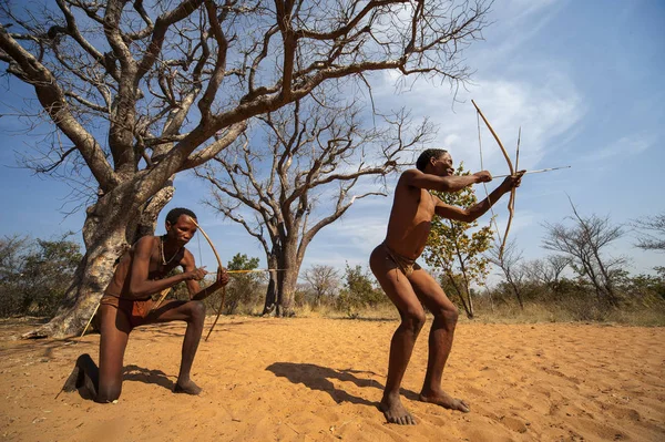 Ju /'Hoansi-Сан-bushman на Grashoek, Намібія — стокове фото