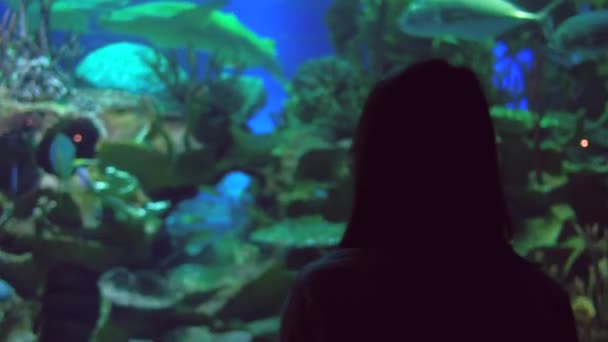 Jonge vrouw in Glasess nemen foto van Aquarium op het Oceanarium, met behulp van een Smartphone — Stockvideo