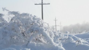 Kar ve Frost iletim hatları arka planda demiryolu de güzel kış şube ve bitki kaplı