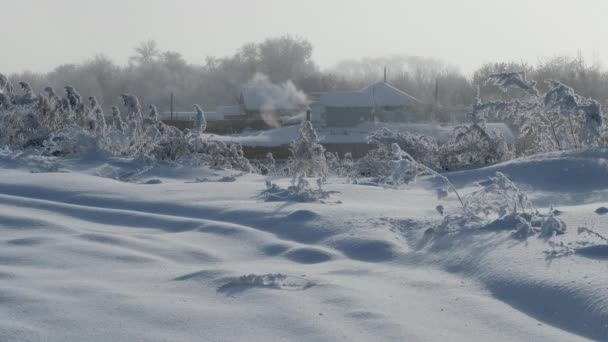 Уволенная снежная зима в деревне — стоковое видео