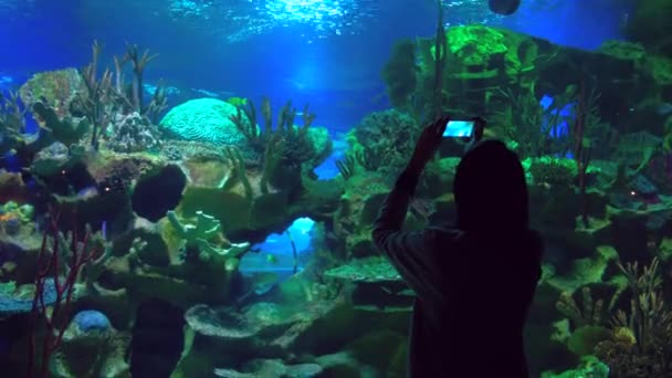 Młoda kobieta w kubki zrobić zdjęcie z akwarium w Oceanarium, za pomocą smartfona — Wideo stockowe