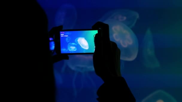 Weibchen mit Brille fotografiert Quallen im Ozeanarium und nimmt mit dem Smartphone Videos auf — Stockvideo