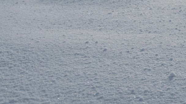 Primer plano: la superficie de la nieve, 4k — Vídeo de stock