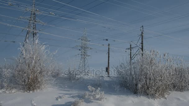 Linhas elétricas no inverno, Inverno bonito, Ramos cobertos com neve e geada, Estepe russo nevado, Quedas de neve, Alta tensão — Vídeo de Stock