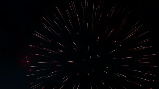 Beautiful Colorful Fireworks — Stock Video