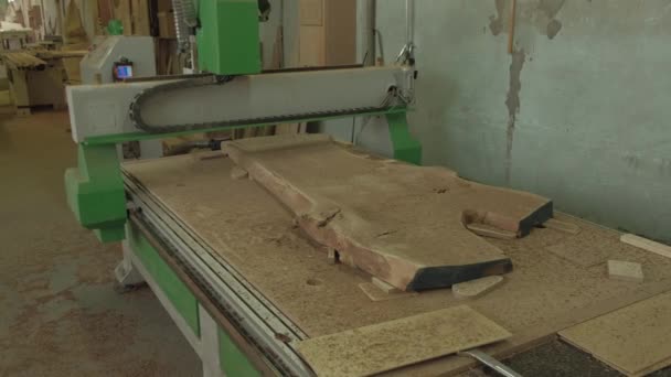 Macchina per la lavorazione del legno in officina — Video Stock