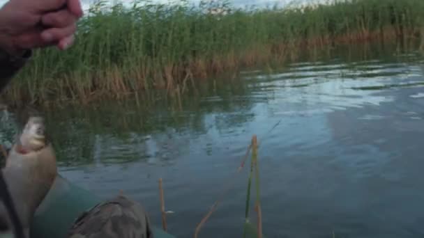 O pescador pegou o peixe, um pescador está pescando em um barco no lago no junco — Vídeo de Stock