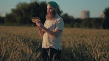 Buğday onun alanları, çiftçi görünüyor ve onun dijital Tablet kullanarak, gri sakallı bir çiftçi bu aygıtın kullandığı