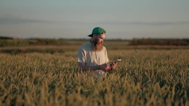 O fazendeiro olha para seus campos de trigo e usando sua tabuleta digital, um fazendeiro com uma barba cinza usa este dispositivo — Vídeo de Stock