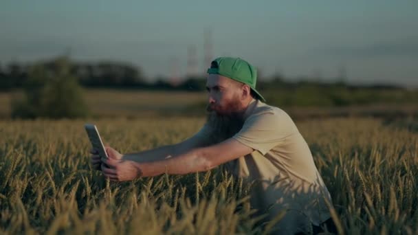 Ziraatçi çiftçi buğday kırpma, zengin Tahıl hasat yetiştirilen dijital Tablet üzerinde fotoğraf çekmek — Stok video