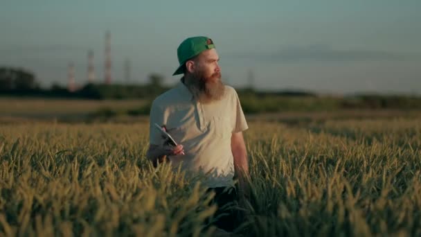 Agricultor, Agricultor Caminando a través de los campos con trigo crecido, hasta Tablet digital en las manos, Inspección de la cosecha — Vídeo de stock