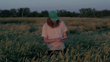 Tarım ve dijital teknoloji, buğday ve onun dijital Tablet, gri sakallı bir çiftçi kullanma onun alanlarında çiftçi bakar kullanır bu cihaz