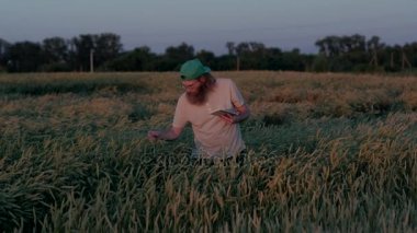 Erkek Ziraat Mühendisi dijital Tablet, kullanma buğday, kalite denetimleri sonucu bilgisayara, adam Hipster tarımda yazar