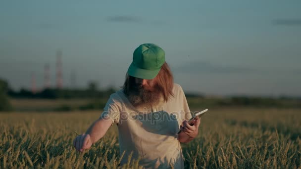 Grave agricoltore con capelli lunghi e barba controlla le orecchie di grano in campo, registrando risultato in tavoletta digitale, l'uomo al lavoro in verde Cap controlla colture — Video Stock