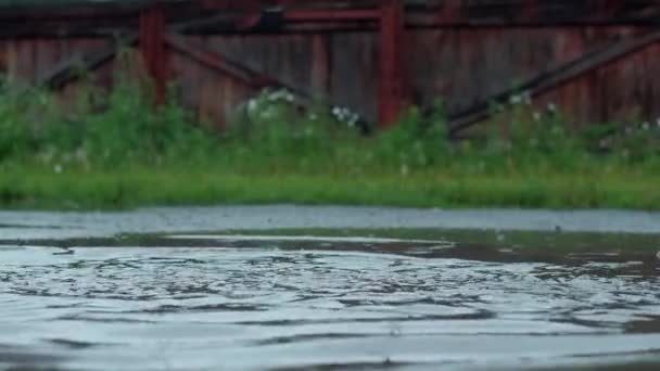 Portre - etkili su damlaları, Slowmotion sıçramasına su birikintileri çalışan mavi kauçuk Çizmeli kız — Stok video