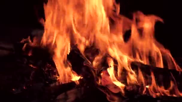 Tűz fekete háttér — Stock videók