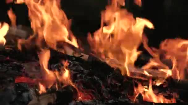 Огонь на черном фоне — стоковое видео