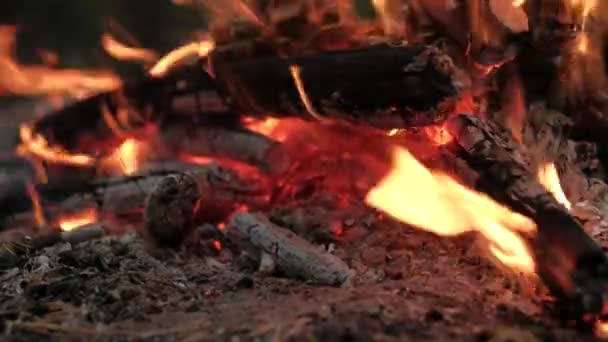 Brandende kolen in het vuur — Stockvideo