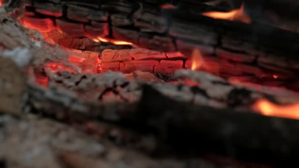 Burning coals in the fire — Stock Video