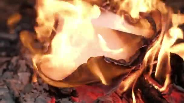 Des feuilles de papier sont brûlées dans le feu . — Video