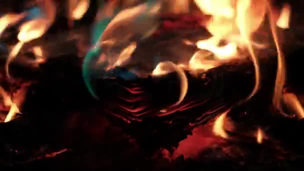 Das Buch brennt im Feuer — Stockvideo
