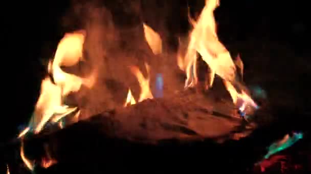 Das Buch brennt im Feuer — Stockvideo