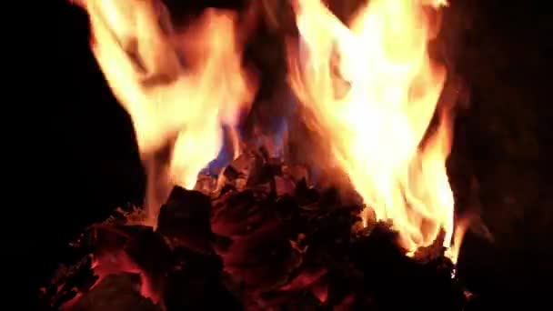 Sheets of paper burn in the fire. — Stock Video