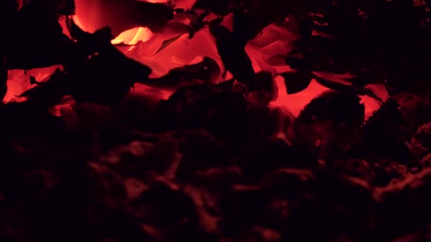 Гаряче вугілля після пожежі абстрактне — стокове відео