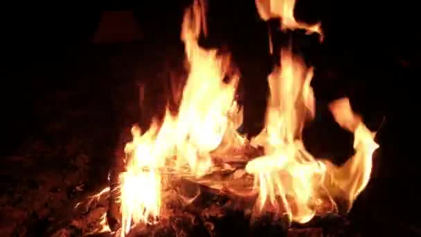 In the fire burning photos. — Stock Video